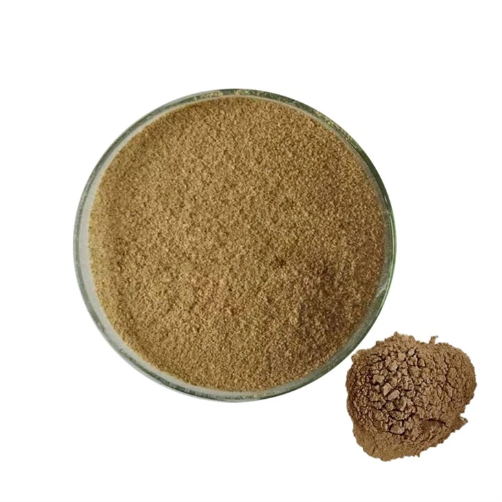 Bacillus Subtilis